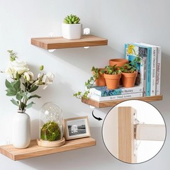 30PCS Clear Plastic Locking Shelf Support Pegs, Self-Locking Transparent