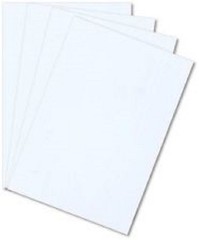 (10 Pack) WHITE STYRENE POLYSTYRENE PLASTIC SHEET .010″ X 18″ X 24″*