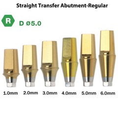 Dental Regular Straight Abutment with Screw fits Hiossen Osstem Ø4.5/5.0/6.0mm