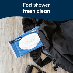 Cottonelle FreshCare Flushable Wet Wipes – 42 Count Flip-Top Moist Toilet Wipes