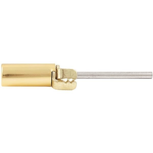 BRASS PIN HINGE DOOR CLOSER – SATIN BRASS FINISH