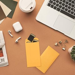 500 Count 3.5×6.5 Kraft Paper Coin Envelopes with Gummed Flap for Storage