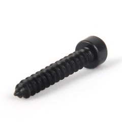 M2 M2.6 M3 M3.5 M4 M5 M6 Black Steel Hex Socket Cap Head Self Tapping Screws