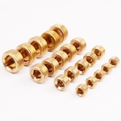 20pcs 1/8″ 1/4″ 3/8″ 1/2″ NPT Brass Hex Countersunk Plugs Socket Pipe Fittings