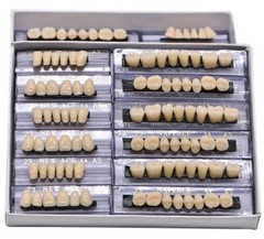 168X Acrylic Resin A1/A2/A3 Dental Denture Teeth Upper Lower Shade 22/23/24# US