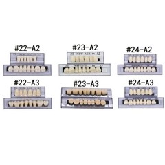 168X Acrylic Resin A1/A2/A3 Dental Denture Teeth Upper Lower Shade 22/23/24# USA