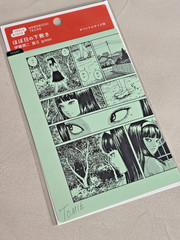 Junji Ito x Hobonichi Tomie Pencil Board Green A6 Official Japan New