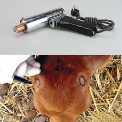 Electric Cow Calf Dehorner Bloodless Fast Heating Horn Cattle Lamb