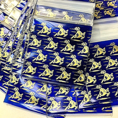 BaggiesSince1987 – 1515 Design Zip Bags 300PCS METALLIC 30 DSN MIX, READ DETAILS