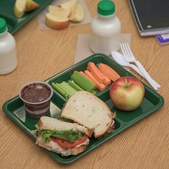 12x Carlisle Melamine 4-Compartment Divided Tray 11″ x 9″; Lunch Cafateria Plate