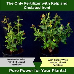 10-10-10 All Purpose Plant Food – Liquid Fertilizer with Seaweed Kelp & Iron …