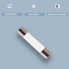 10 Pack Microwave Fuses Slow Blow Ceramic Fuse, 1 Box of 20A 250V 0.24×1.2in Uni