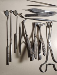 ALPEN 12.0 Dental Instrument Set for Dentistry w/ Stainless Tray & Lid