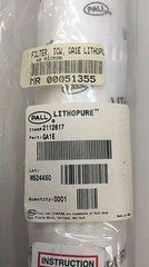 Pall GA1E Lithopure 40 Micron ICW Filter 2112617 00051355