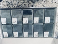10 uL Clear DNase/RNase Free Non-pyrogenic Pipette Tips 10 Racks 96 Tips/Rack