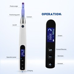 Dental Wireless Electric Hygiene Prophy Handpiece +2Pcs Universal Prophy Angles