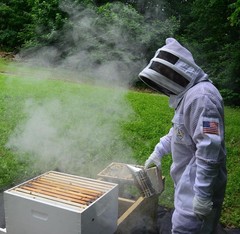 3 Layer Bee Suit with Fencing Veil One Pair Gloves Sting Proof Ventilated Beekee