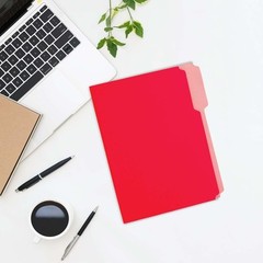 BAZIC 1/3 Cut Letter Size Color File Folder 1-Pack, Red/Yellow/Blue/Green