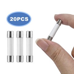 Litoexpe 20-Pack 20 amp Slow-Blow Time Delay Fuses, 20A 250V Silver, Ivory