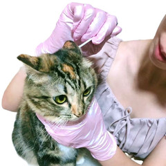 Top Glove Nitrile Disposable Powder Free Glove – Pearlescent Pink/ Violet 50s