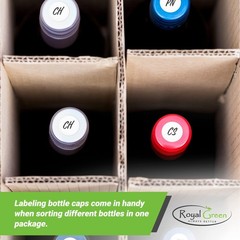 Royal Green Color Coding Labels in 10 Assorted Colors, Small Circle Labels St…