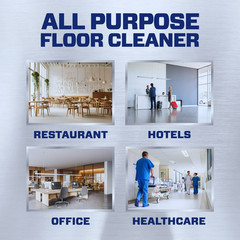 Mr. Clean All Purpose Floor Cleaner Concentrate 1 Gallon Professional
