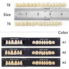 Dental Acrylic Resin Denture Teeth A2 T8 Full Set False Teeth Upper Lower