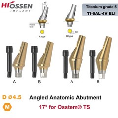 US 17° Angulated & Straight Transfer Abutment Fit Osstem/Hiossen Hex Titanium