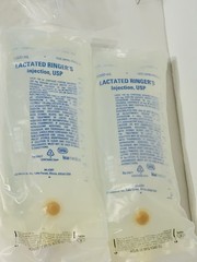 2 X Lactated Ringers USP 1L /1000mL 2028/02