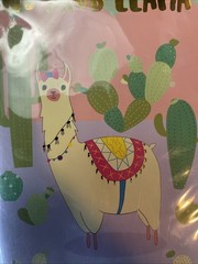 Crown Jewelz No Prob Llama Notebook Journal – 5.5” x 8” – New