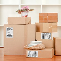 220 Self Adhesive Shipping Label Half Sheet 8.5 x 5.5 eBay USPS Fedex 2 Per Shee