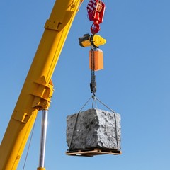 Electric Chain Hoist Single Phase Crane Hoist 2200 lbs Load 10 ft Lifting 1300W
