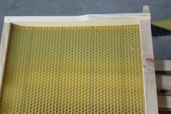 Assembled 20 Bee Foundation Deep Bee Hive Wax Foundation Bee Hive Frames w/ Wire