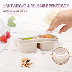 Rngwaper 5 Pack Bento Lunch Box4 Compartment Snack Containersdivided Bento