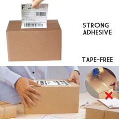 8 Rolls Label 4×6 Zebra 2844 Eltron ZP450 Direct Thermal Shipping 2000 Labels