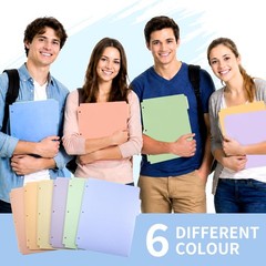 Plastic Folders with Pockets, 3 Hole Punched 6 Pack, Soft Pastel With Tabs