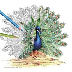 STAEDTLER Colored Pencils Set 6-Pack (6 1 Count (Pack of 432), Multicolor