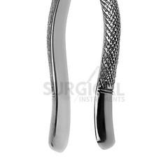 Extracting Forceps Dental Surgical Instruments 65 Stainless German Grade
