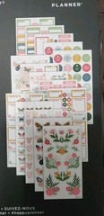Happy Planner Classic Sticker Sheets Butterflies And Blooms Baby 709 Pieces