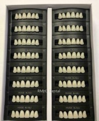 HUGE KAILI Synthetic Polymer False Teeth Upper Anterior T8 Full Box 16sets/6pcs