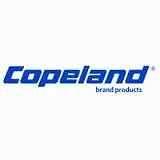Copeland 529-0060-24 Power Cable W/Molded Plug