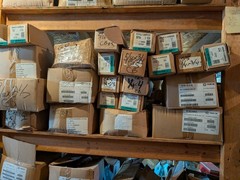 Grade 5 Carriage Bolts Aprox 2 lbs each size 5/16″ x3/4, 1, 1.5, 2, 2.5, 3, 4