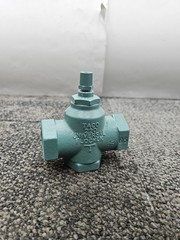 Taco 220-6 1 Flo-Chek 1 in. Cast Iron NPT Check Valve, Threaded Body