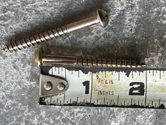 LOT of 50 Screws #10 Brass Phillips Round Head Wood Screws 2”