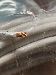 Paladin 50 Ft. 12 AWG Gauge Insulated Stranded Copper THHN/THWN-2 Building Wire