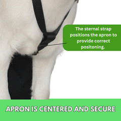 Anti Mating Anti Breeding OLOR Buck Apron™ with Harness – Goats/Sheep X-SMALL