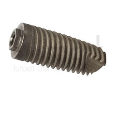 LOTx10 Analog external hex abutment Fit Branemark RP MIS 3I D 5 mm