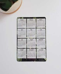 Fig Tree Photo Calendar Magnet 4″ x 6″ | Start On Any Month | Magnet Calendar
