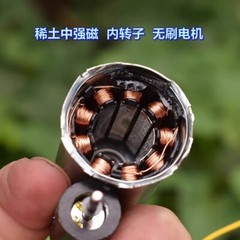 BL2838 Worm Gear Reduction Brushless Motor DC12V 20 RPM High Torque Low Speed