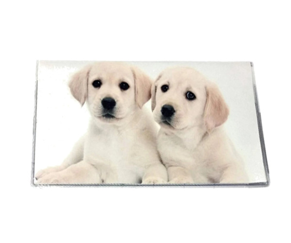 Style Choice * Dog * Puppy * 3 Year Pocket Calendar Planner 2025-2027 w Notepad